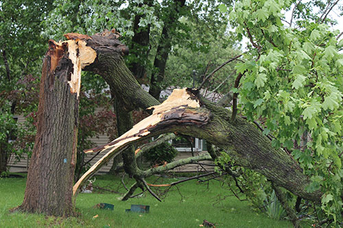 5785014146_c861508dd4_k